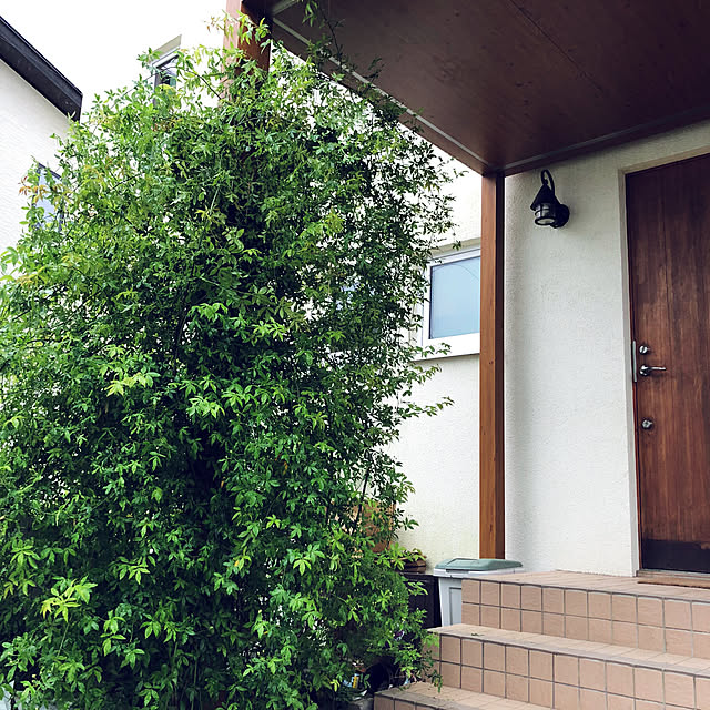 ecopanaさんの部屋