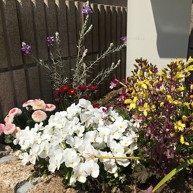 yuminnieさんの実例写真