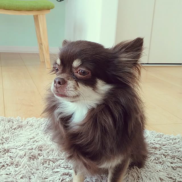 sakuさんの実例写真