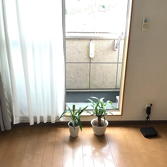 miyaさんの実例写真