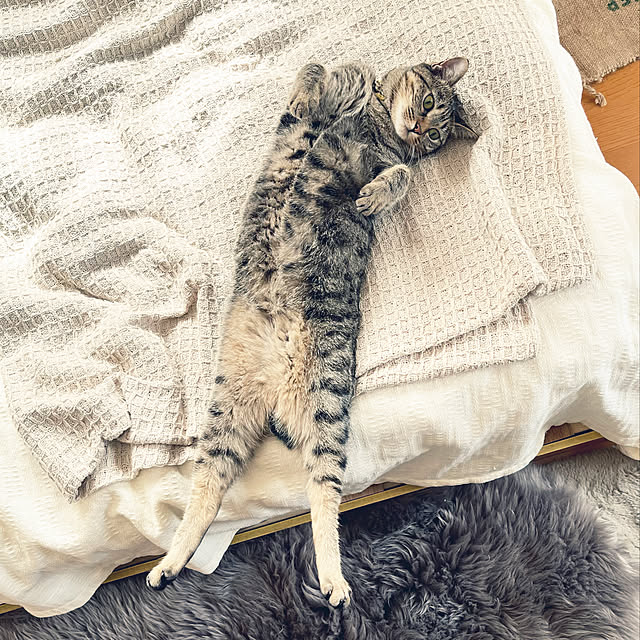 Mさんの実例写真