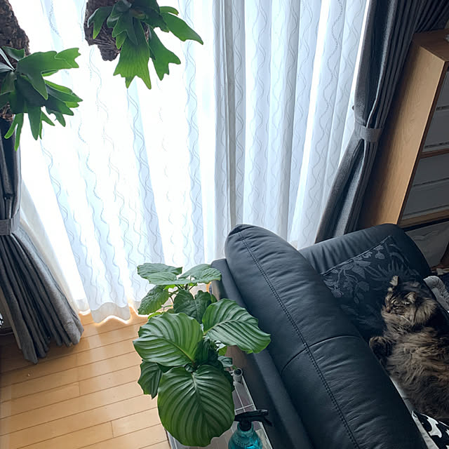 yukarin-gardenさんの実例写真