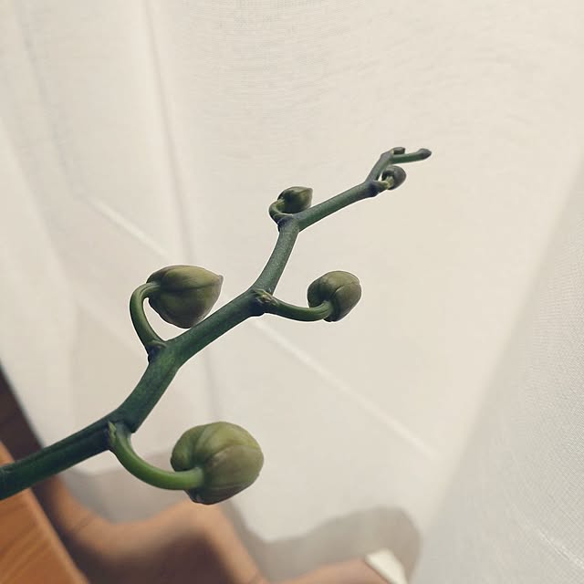 tan5さんの部屋