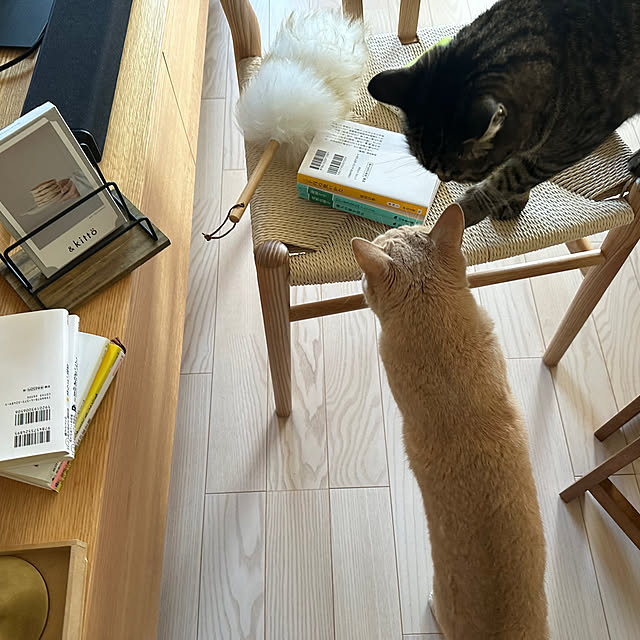 yococo_kurashiさんの実例写真