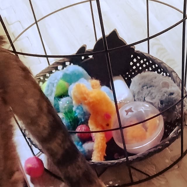 runaさんの部屋