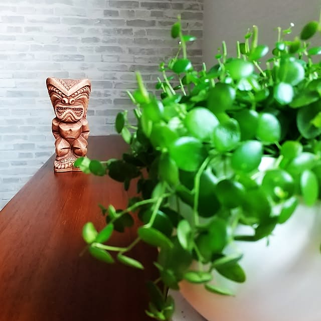 meiさんの部屋
