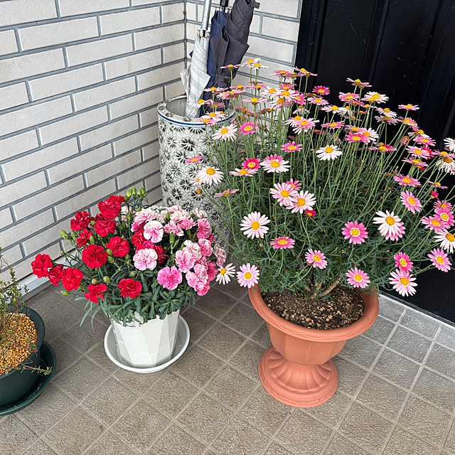 hrrttさんの部屋