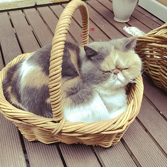 huayanyuさんの実例写真