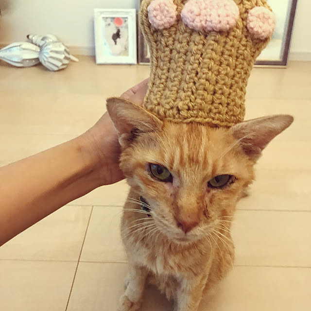 Satokoさんの実例写真