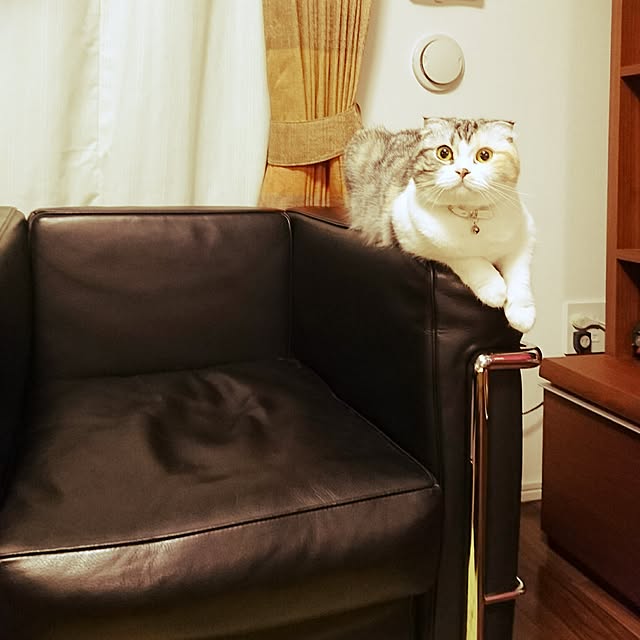 Sachiさんの実例写真