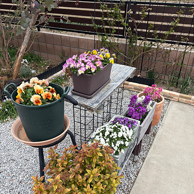 ronronさんの部屋