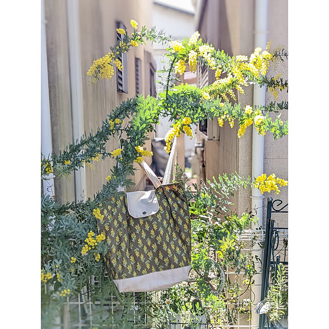 junさんの実例写真