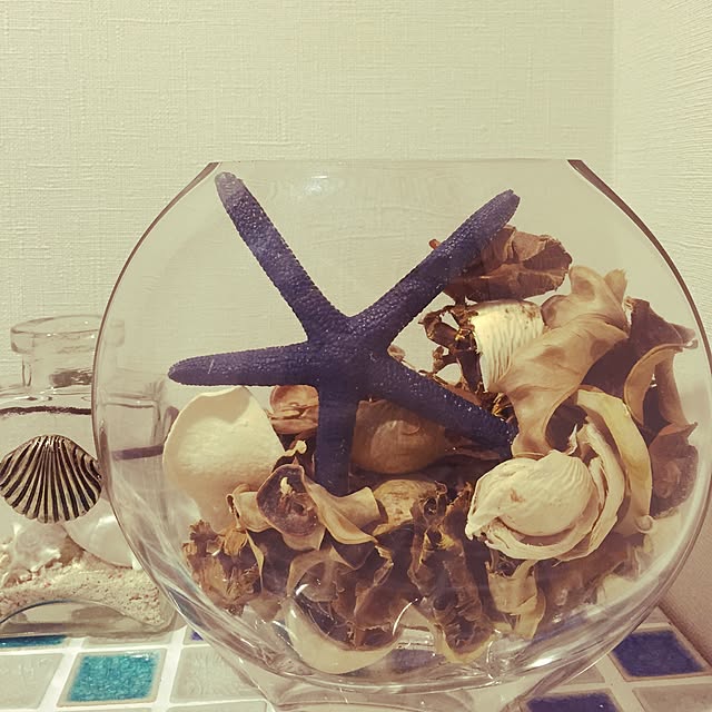 amicornさんの実例写真