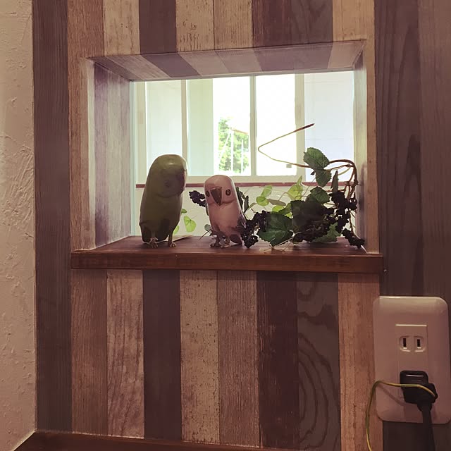 PIYOLANDさんの実例写真
