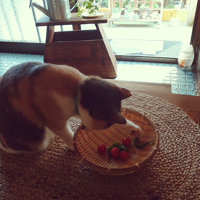 fukuさんの実例写真