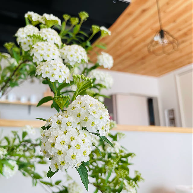 Otsuuu_houseさんの実例写真
