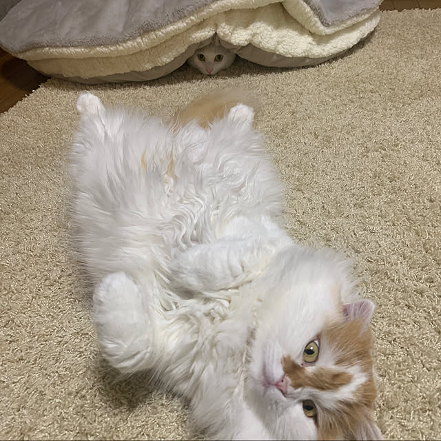 keiさんの実例写真