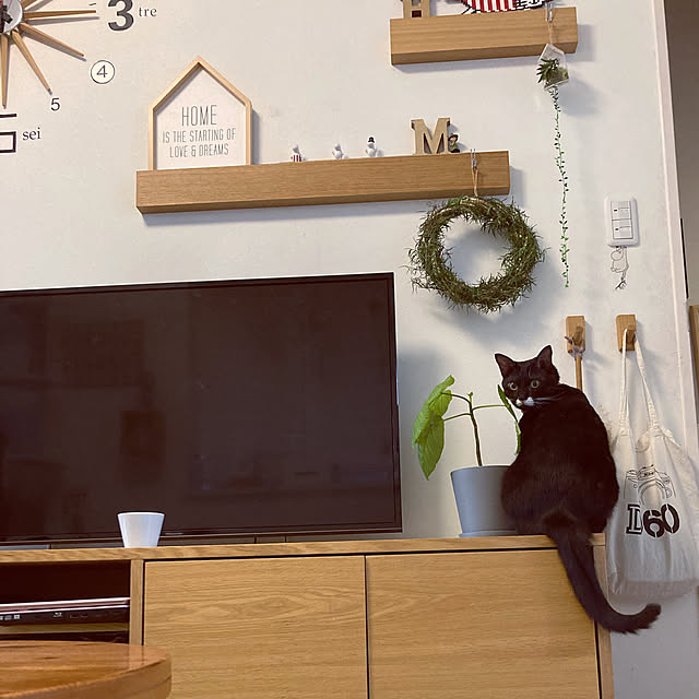 masamasaさんの実例写真