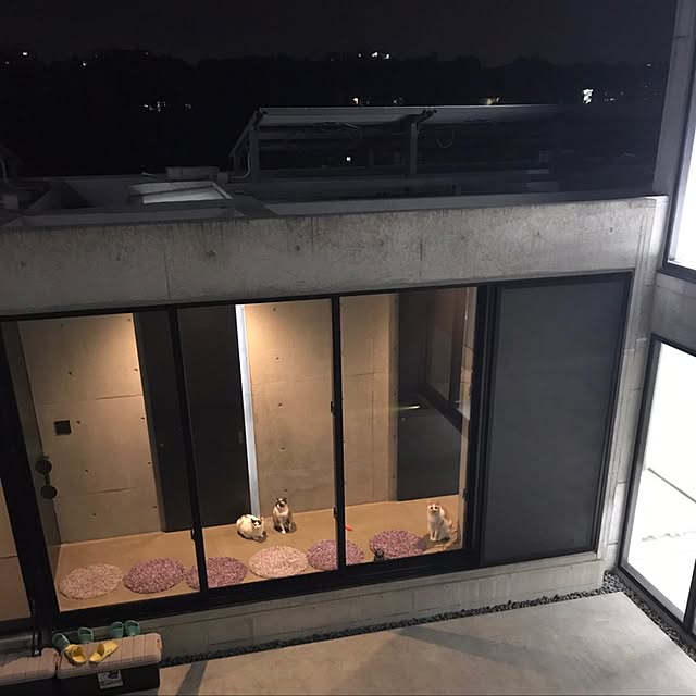 mashさんの実例写真