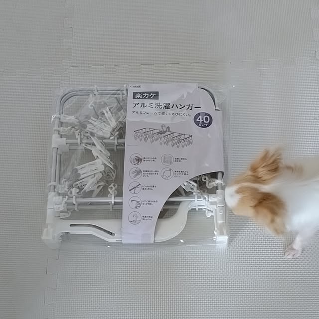 toratanさんの実例写真