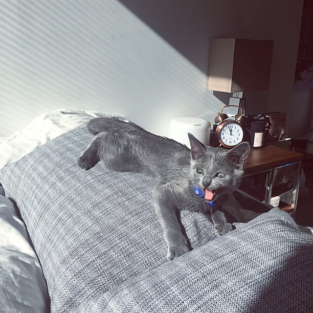 vさんの実例写真