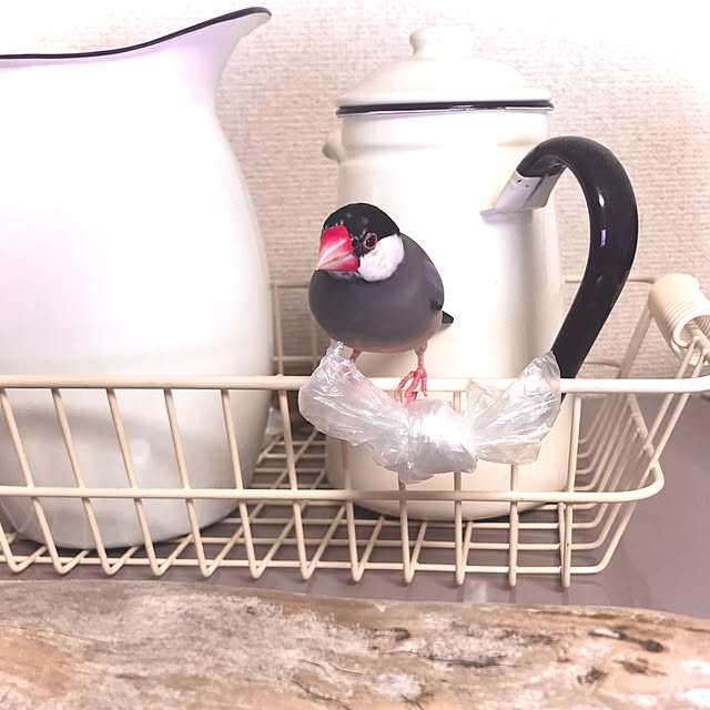 mokiさんの実例写真