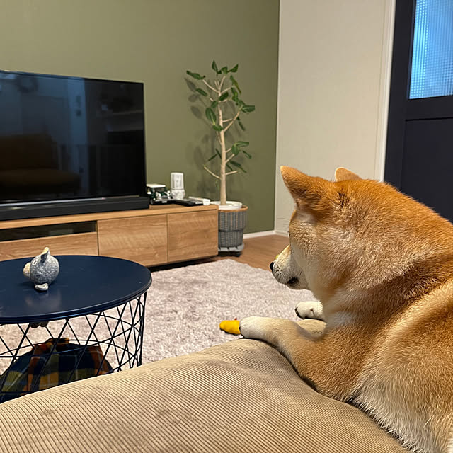 me69さんの実例写真