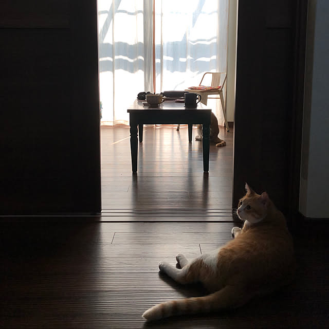 NECO.COさんの実例写真