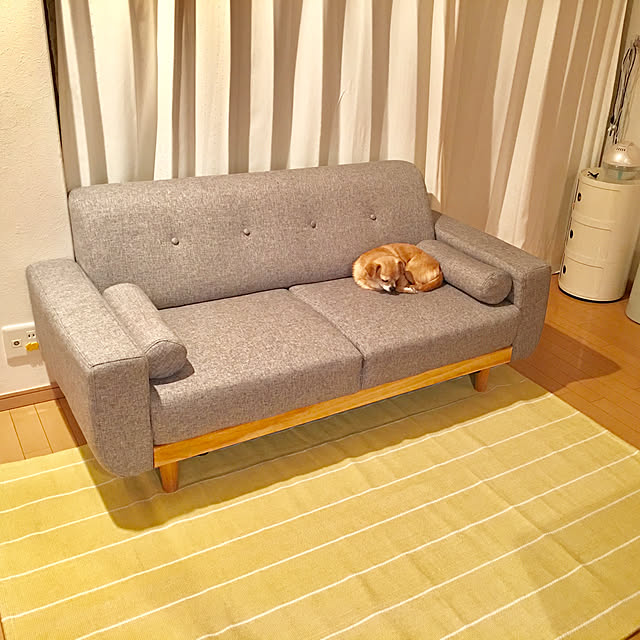 haritakaさんの実例写真