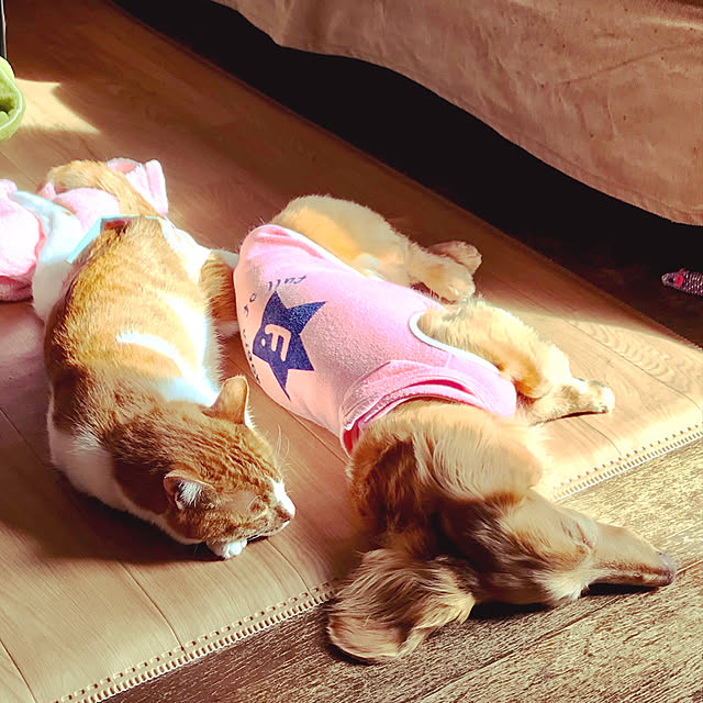 yurincaさんの実例写真