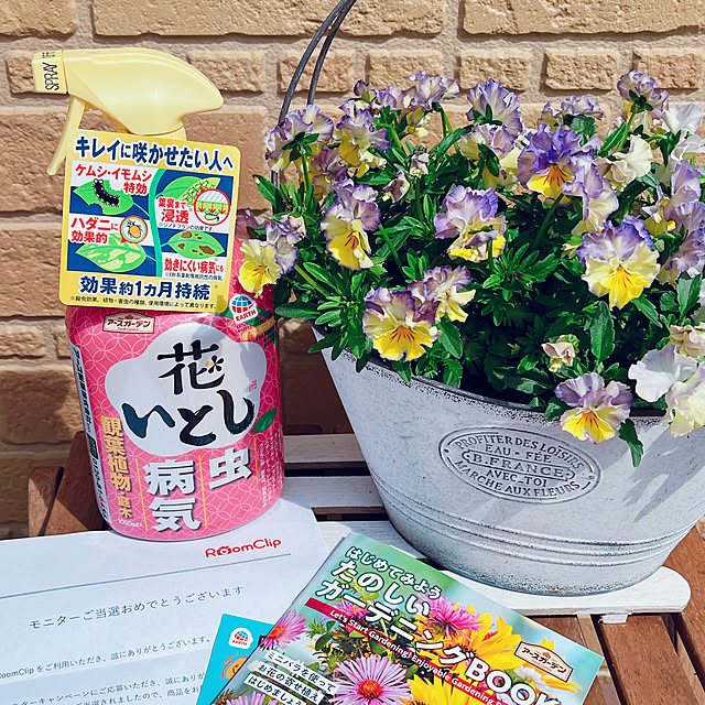 moolさんの実例写真