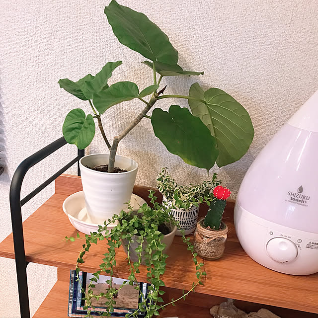 2boyMAMAさんの実例写真
