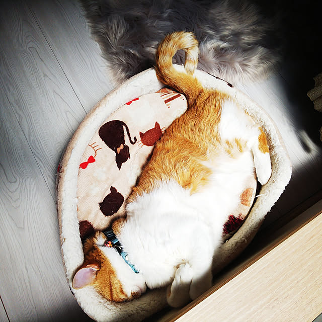 uutann320mozukuさんの実例写真