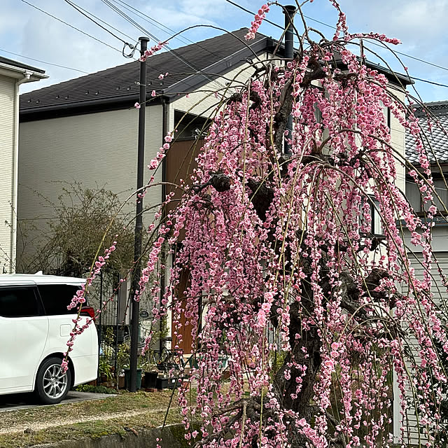 ayomoyuさんの部屋