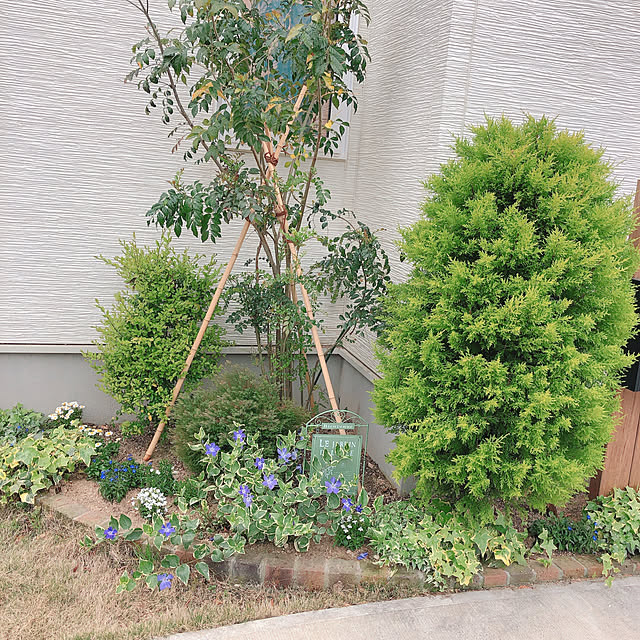 reo..m.aさんの実例写真