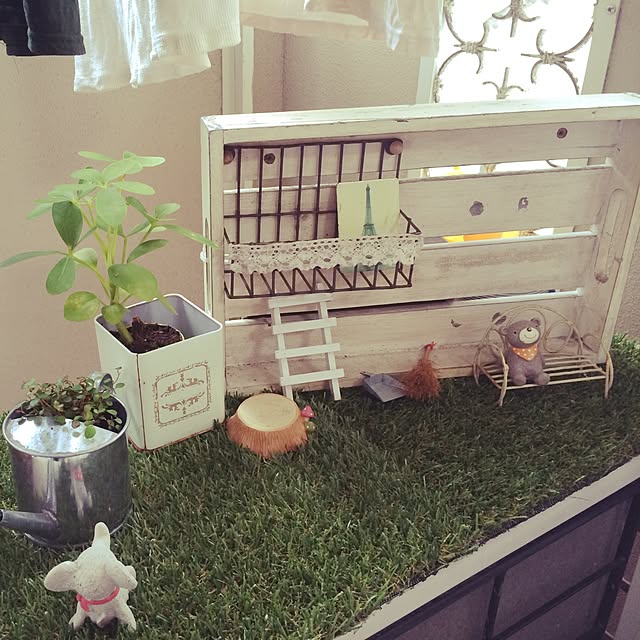 ecoさんの実例写真