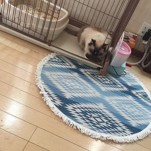 hmhmama0722さんの実例写真