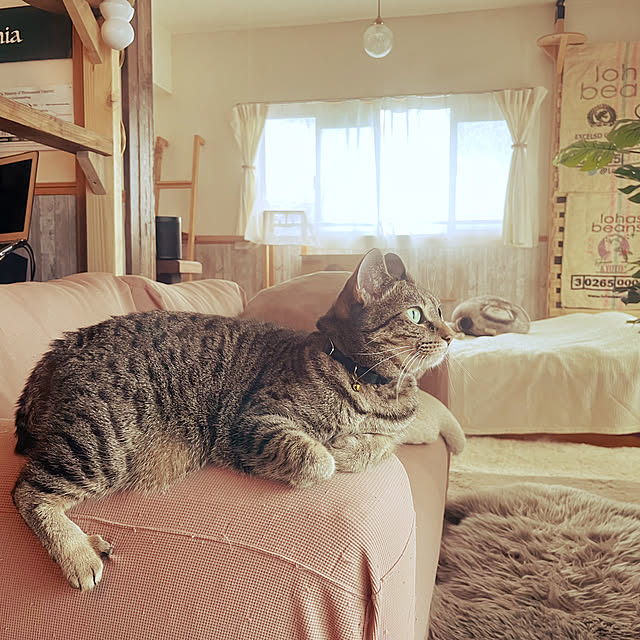 Mさんの部屋