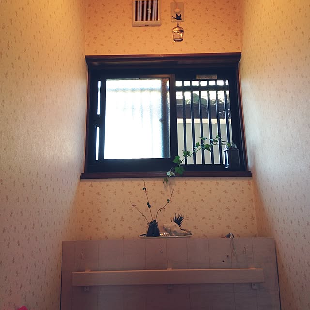 ayaさんの実例写真