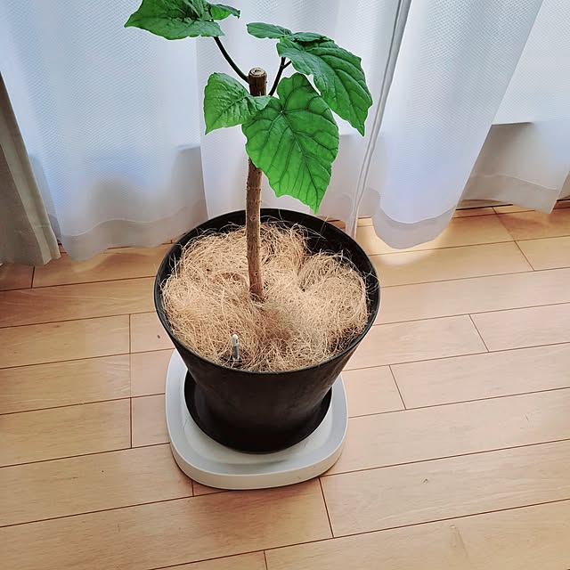 Rさんの部屋