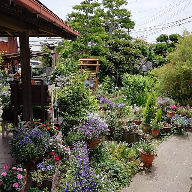 haruiroさんの部屋