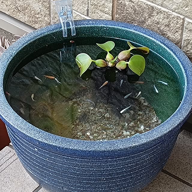 soyokoさんの実例写真