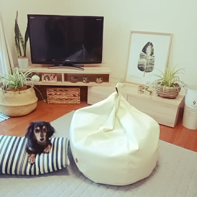 reonさんの実例写真