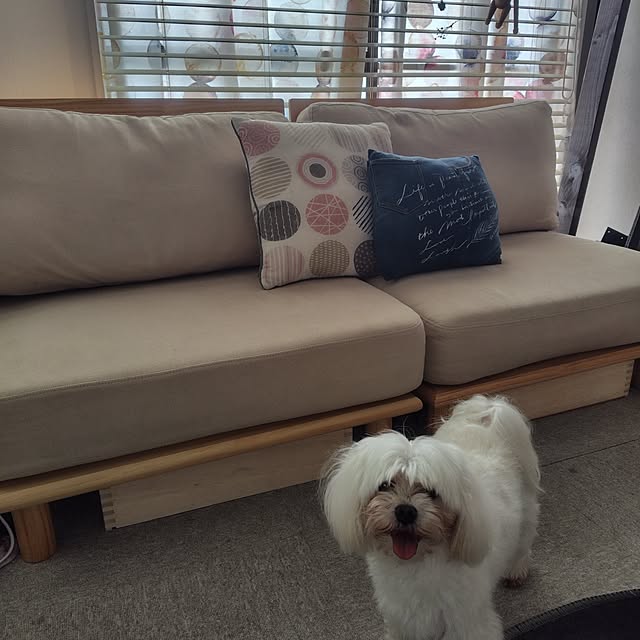 tomomiさんの部屋