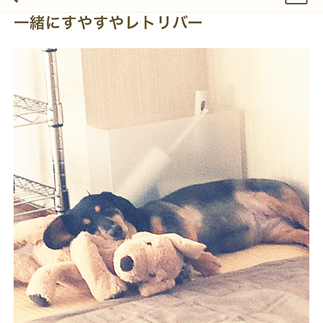 ohanaさんの実例写真