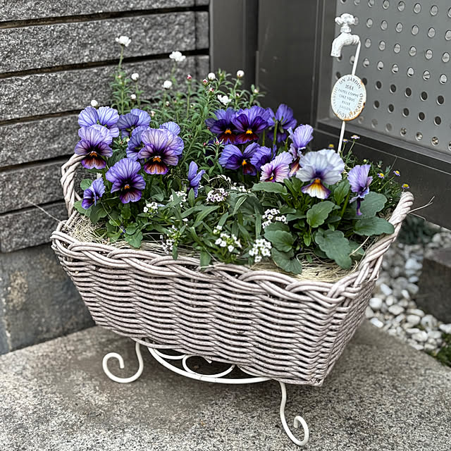 maayaさんの実例写真