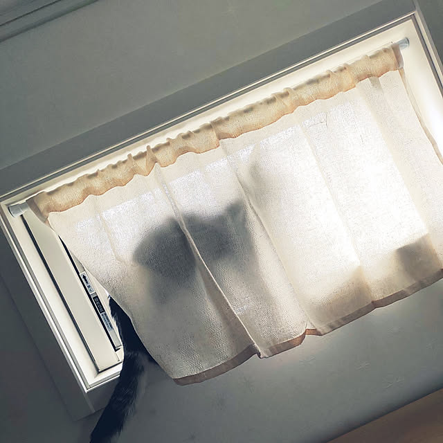 wahahaさんの実例写真