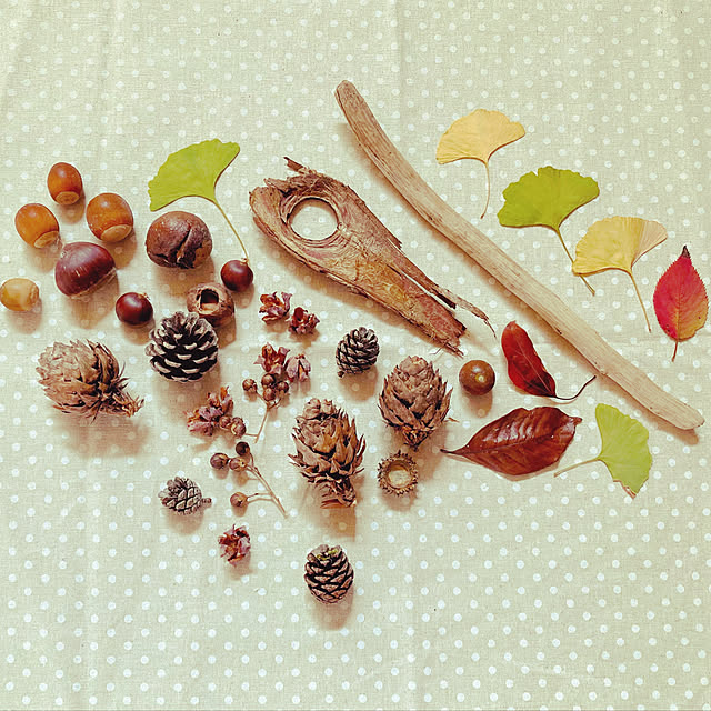 harvestさんの実例写真