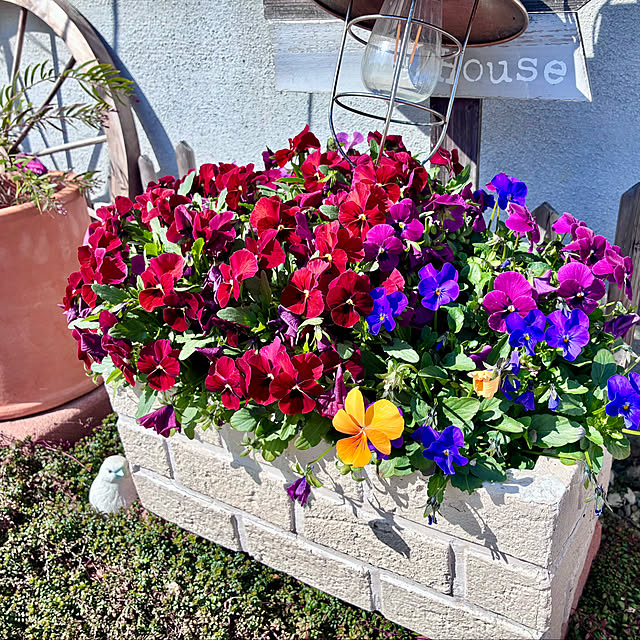 Junさんの実例写真