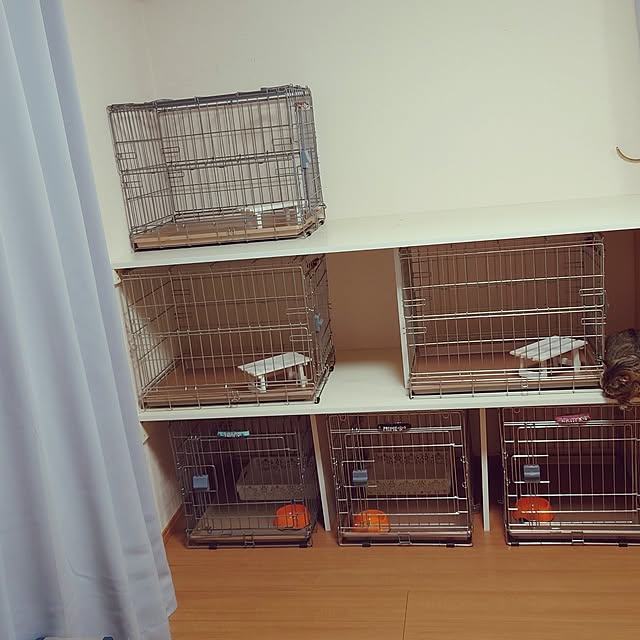 noguriさんの実例写真